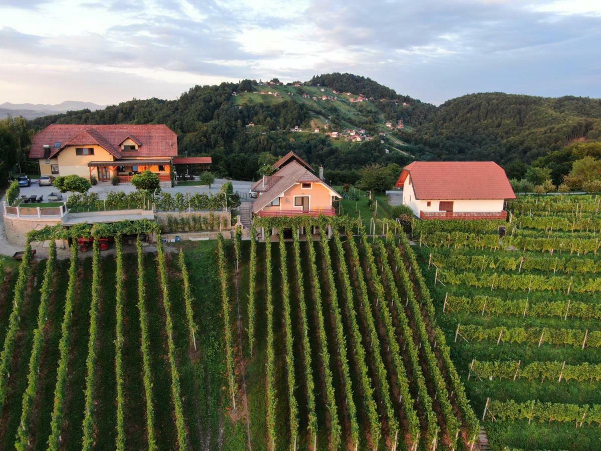 Vineyard Cottage Urban Mirna エクステリア 写真